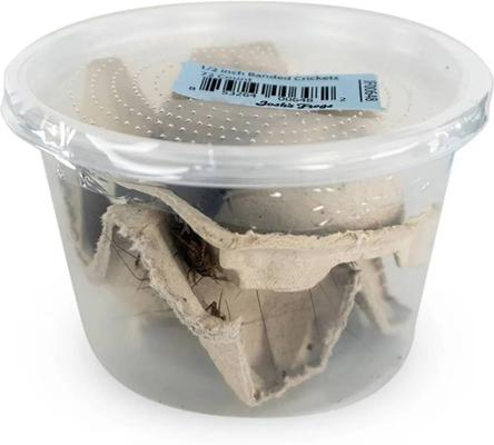 Show full view: Josh's Frogs Tree Frog Feeder Bundle, Juvenile slide 4 of 9