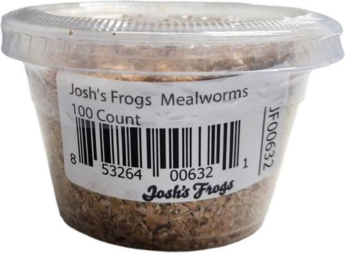Show full view: Josh's Frogs Fat Tail Gecko Feeder Bundle, Juvenile slide 4 of 10