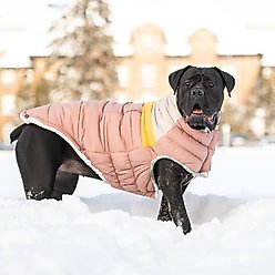 GF Pet Camplife Dog Puffer Jacket, Clay, Large slide 2 of 6