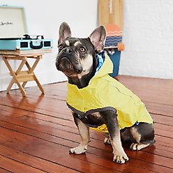 GF Pet Reversible Dog Raincoat, Yellow, Medium slide 2 of 8