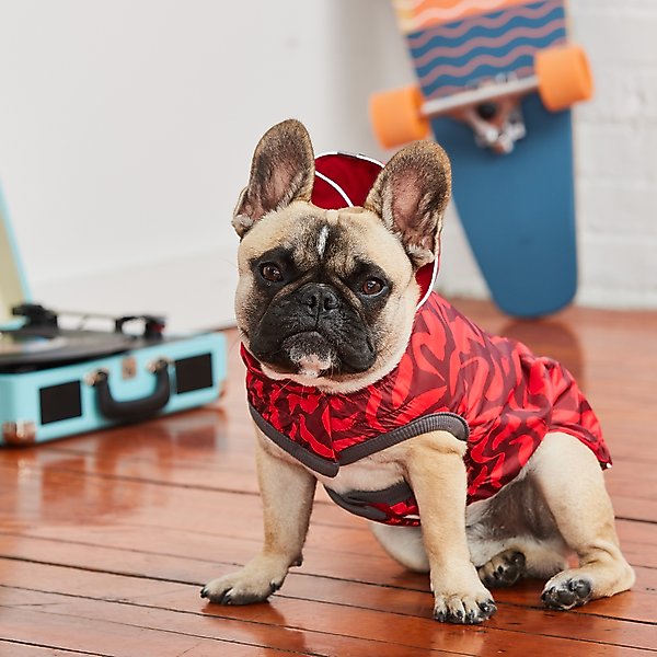 GF Pet Reversible Dog Raincoat