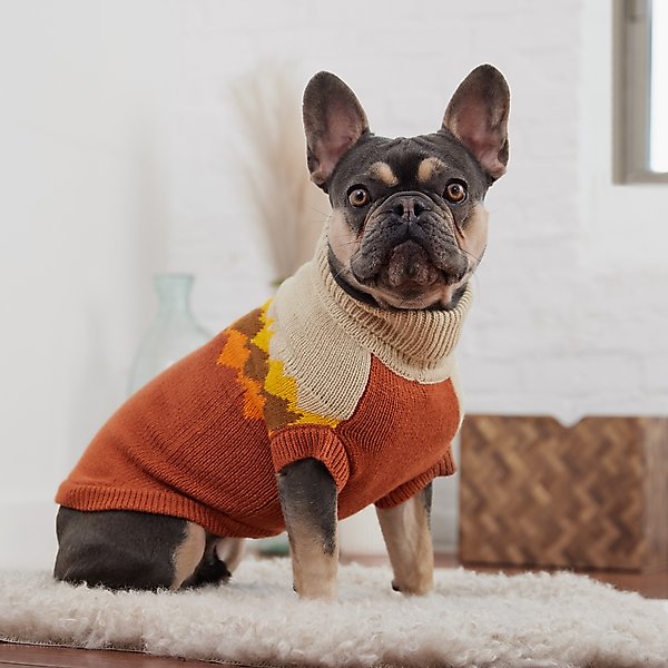 Show full view: GF Pet Fireside Dog Sweater, Chili, Small slide 4 of 6