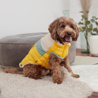 Show full view: GF Pet Camplife Dog Puffer Jacket, Yellow, Small slide 4 of 8