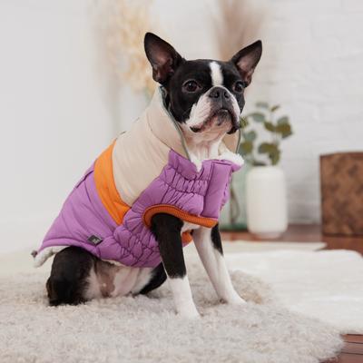 Show full view: GF Pet Camplife Dog Puffer Jacket, Purple, Small slide 4 of 7
