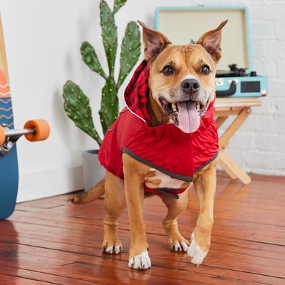 Show full view: GF Pet Reversible Dog Raincoat, Red, Large slide 6 of 10