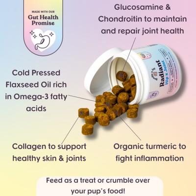 Show full view: Bundle x Joy Radiant Hip x Joint Chew Supplement for Dogs, 90 count slide 4 of 7