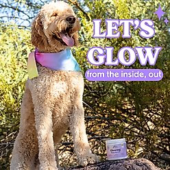 Bundle x Joy Glowing Skin Health Chew Supplement for Dogs, 90 count slide 2 of 5