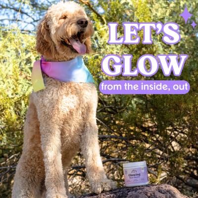 Show full view: Bundle x Joy Glowing Skin Health Chew Supplement for Dogs, 90 count slide 6 of 7