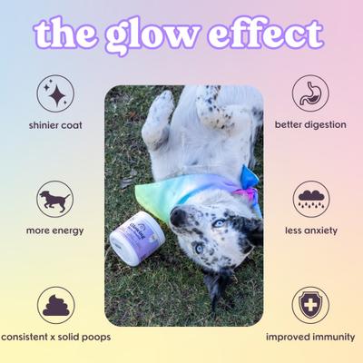 Show full view: Bundle x Joy Glowing Skin Health Chew Supplement for Dogs, 90 count slide 5 of 7