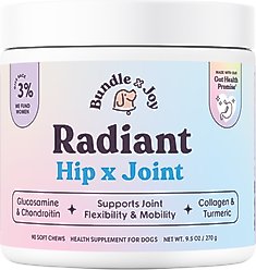 Bundle x Joy Radiant Hip x Joint Chew Supplement for Dogs, 90 count