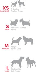 Red Dingo SuperLead Squiggles Design Nylon Dog Leash, Black, Medium: 6-ft long, 4/5-in wide slide 2 of 9