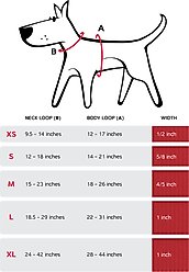 Red Dingo Squiggles Design Padded Reflective Dog Harness, Black, Medium: 18 to 26-in chest slide 2 of 5