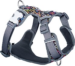 Red Dingo Squiggles Design Padded Reflective Dog Harness, Black, Medium: 18 to 26-in chest