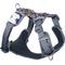 Show in main carousel: Red Dingo Squiggles Design Padded Reflective Dog Harness, Black, Medium: 18 to 26-in chest slide 1 of 6