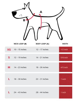 Show full view: Red Dingo Squiggles Design Dog Harness, Black, X-Large: 21 to 44-in chest slide 7 of 7