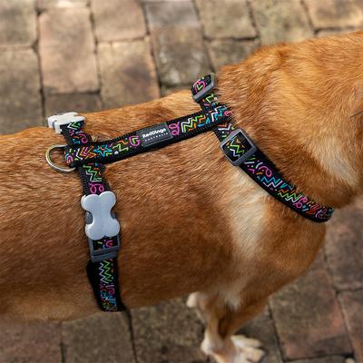 Show full view: Red Dingo Squiggles Design Dog Harness, Black, X-Large: 21 to 44-in chest slide 3 of 7