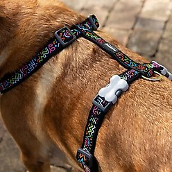 Red Dingo Squiggles Design Dog Harness, Black, Small: 14 to 21-in chest slide 2 of 6