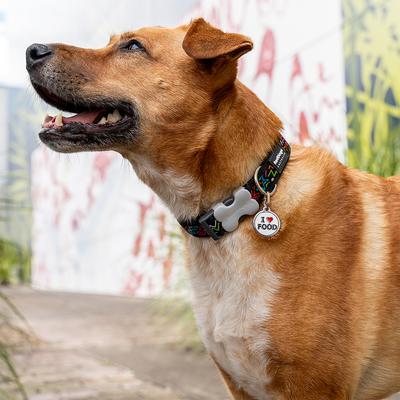 Show full view: Red Dingo Squiggles Design Nylon Dog Collar, Black, Small: 9 to 14-in neck, 5/8-in wide slide 3 of 8