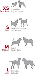 Red Dingo Squiggles Design Nylon Martingale Dog Collar, Black, Small: 9 to 14-in neck, 5/8-in wide slide 2 of 5