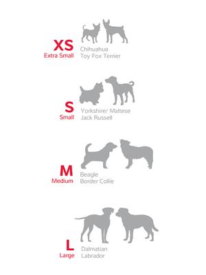 Show full view: Red Dingo Squiggles Design Nylon Dog Collar, Black, Small: 9 to 14-in neck, 5/8-in wide slide 7 of 8