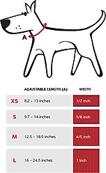 Red Dingo Squiggles Design Nylon Martingale Dog Collar, Black, X-Small: 8 to 13-in neck, 1/2-in wide slide 2 of 5