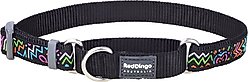 Red Dingo Squiggles Design Nylon Martingale Dog Collar, Black, Small: 9 to 14-in neck, 5/8-in wide