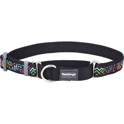 Red Dingo Red Dingo Squiggles Design Nylon Martingale Dog Collar, Black, Medium: 12 to 18-in neck, 4/5-in wide