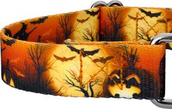 Country Brook Petz Midnight Fright Gunmetal Martingale Dog Collar, Orange, XX-Small slide 2 of 5