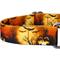 Show in main carousel: Country Brook Petz Midnight Fright Gunmetal Martingale Dog Collar, Orange, XX-Small slide 5 of 5