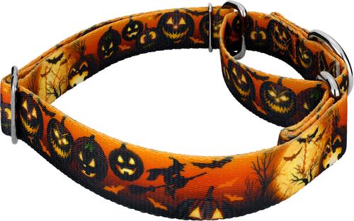 Show full view: Country Brook Petz Midnight Fright Gunmetal Martingale Dog Collar, Orange, XX-Small slide 4 of 5