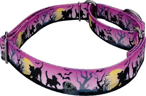 Show full view: Country Brook Petz Graveyard Gunmetal Martingale Dog Collar, Purple, Small slide 5 of 6