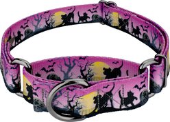 Country Brook Petz Graveyard Gunmetal Martingale Dog Collar, Purple, Small