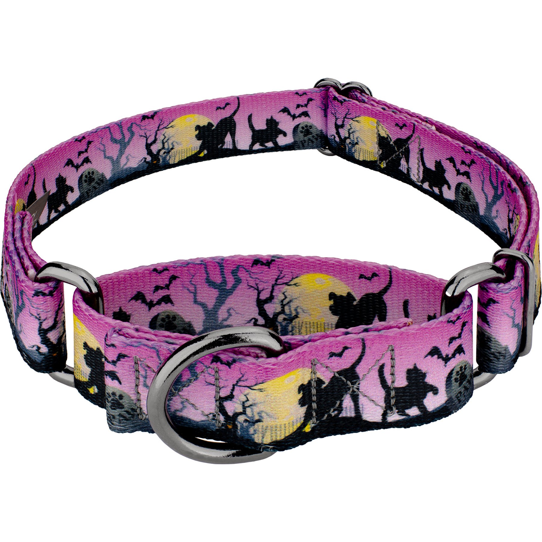 Country Brook Petz Graveyard Gunmetal Martingale Dog Collar, Purple, Small