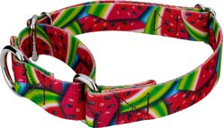 Country Brook Petz Summer Melon Martingale Dog Collar, Red, Small slide 2 of 5