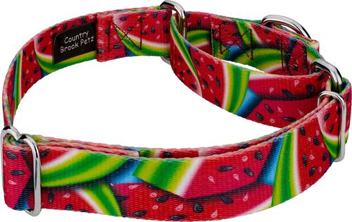 Show full view: Country Brook Petz Summer Melon Martingale Dog Collar, Red, Medium slide 4 of 5