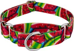 Country Brook Petz Summer Melon Martingale Dog Collar, Red, X-Small