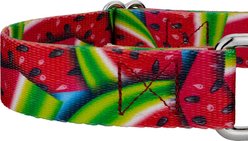Country Brook Petz Summer Melon Martingale Dog Collar, Red, X-Small slide 2 of 5