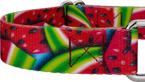 Show full view: Country Brook Petz Summer Melon Martingale Dog Collar, Red, Medium slide 5 of 5