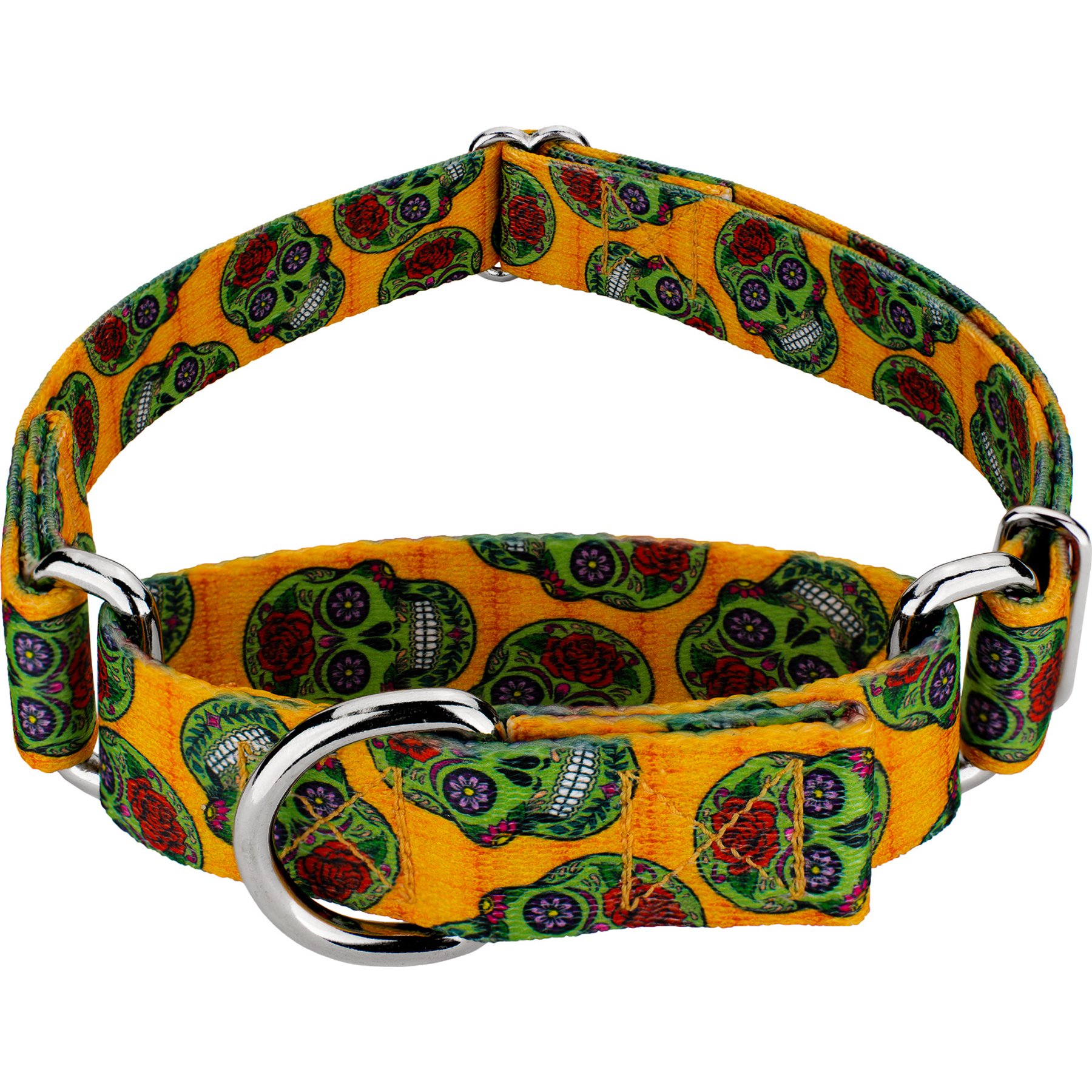 Country Brook Petz Sugar Skulls Martingale Dog Collar, Orange, Large