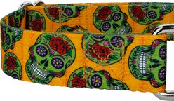 Country Brook Petz Sugar Skulls Martingale Dog Collar, Orange, Large slide 2 of 5
