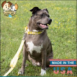 Country Brook Petz Pink Lemonade Martingale Dog Collar, Yellow, Small slide 2 of 9