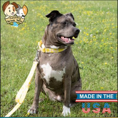 Show full view: Country Brook Petz HossFit Jr Pink Lemonade Wide Martingale Dog Collar, Large slide 3 of 9