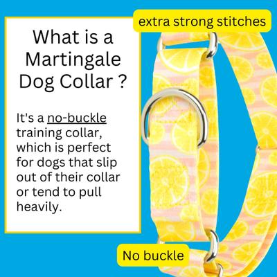Show full view: Country Brook Petz Pink Lemonade Martingale Dog Collar, Yellow, Small slide 5 of 9