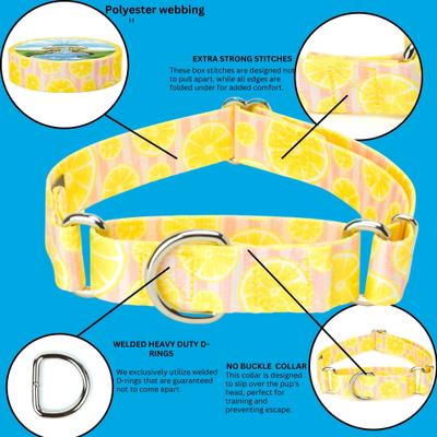 Show full view: Country Brook Petz Pink Lemonade Martingale Dog Collar, Yellow, Small slide 6 of 9