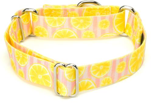 Show full view: Country Brook Petz Pink Lemonade Martingale Dog Collar, Yellow, Small slide 9 of 9