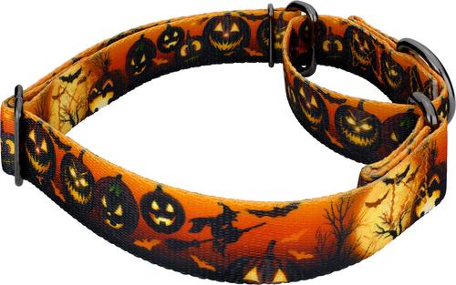 Show full view: Country Brook Petz Midnight Fright Gunmetal Martingale Dog Collar, Orange, Large slide 4 of 5