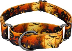 Country Brook Petz Midnight Fright Gunmetal Martingale Dog Collar, Orange, Medium