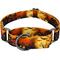 Show in main carousel: Country Brook Petz Midnight Fright Gunmetal Martingale Dog Collar, Orange, Large slide 1 of 5
