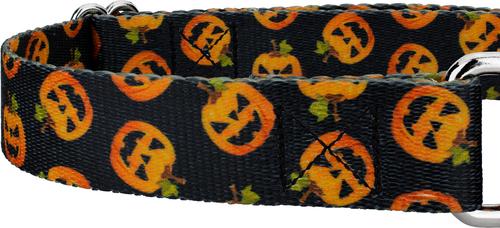 Show full view: Country Brook Petz Happy Jack Martingale Dog Collar, Black, Medium slide 6 of 6