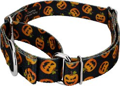 Country Brook Petz Happy Jack Martingale Dog Collar, Black, Small slide 2 of 6